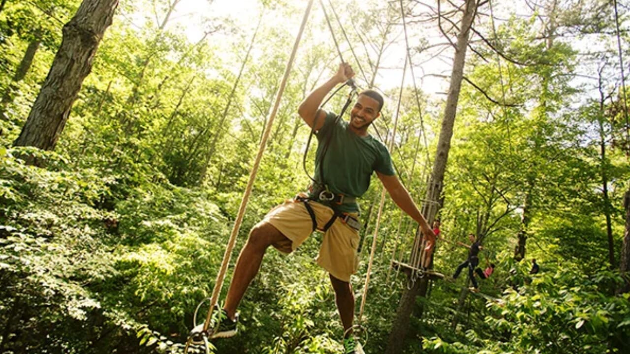 Go Ape