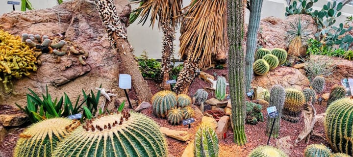 United States Botanic Garden
